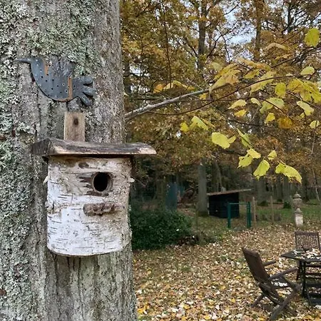 Maisonnette En Clairiere De Foret Gambais Extérieur photo