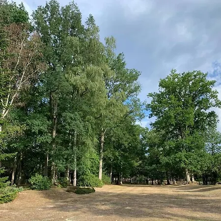 Maisonnette En Clairiere De Foret Gambais Extérieur photo