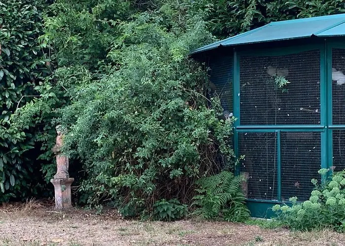 Maisonnette En Clairiere De Foret