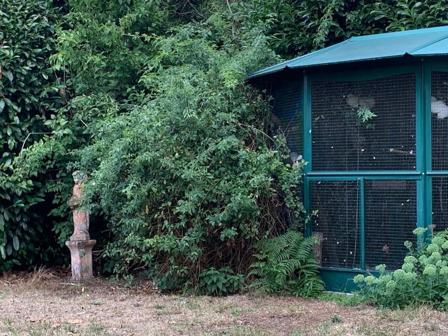 Maisonnette En Clairiere De Foret *