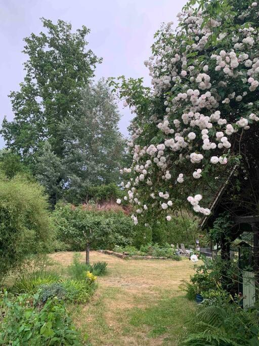 Maisonnette En Clairiere De Foret *