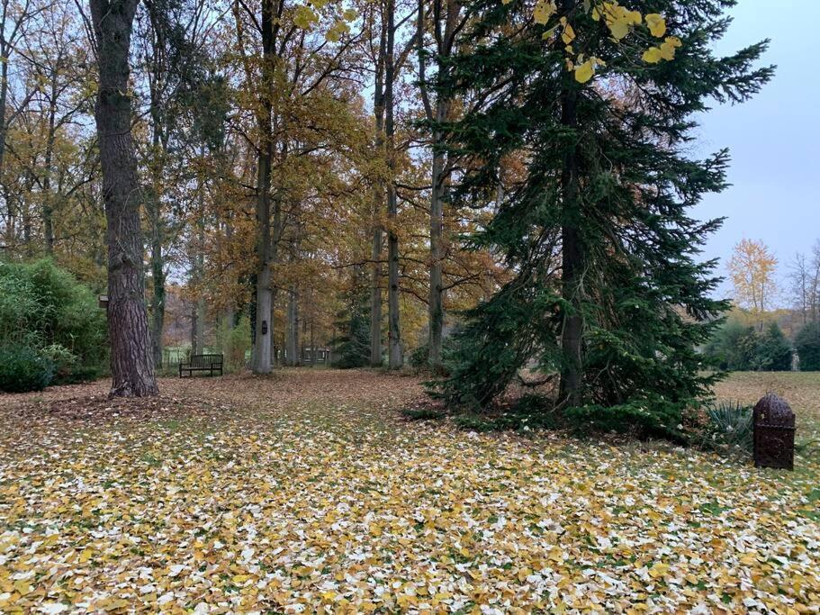Maisonnette En Clairiere De Foret * Gambais